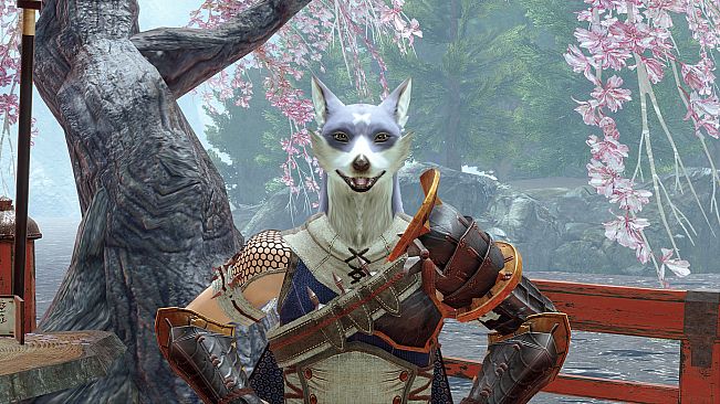 MONSTER HUNTER RISE - "Canyne Mask" Hunter layered armor piece