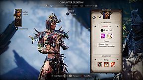 Divinity: Original Sin 2 - Definitive Edition
