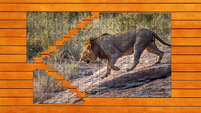Big Cat Jigsaw Quest - Expansion Pack 1