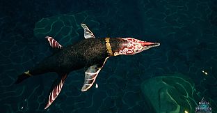 Beasts of Bermuda - Kronosaurus Supporter Warpaint