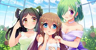 A Piece of Wish upon the Stars - 美术设定集