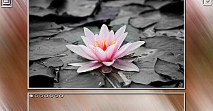 Super Jigsaw Puzzle: Generations - Flowers Puzzles