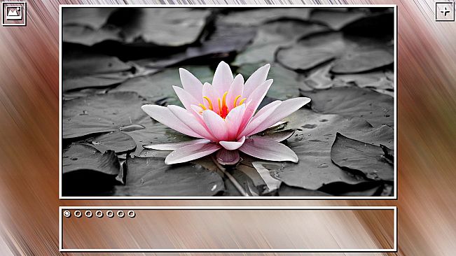 Super Jigsaw Puzzle: Generations - Flowers Puzzles