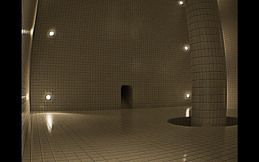 BACKROOMS THE COMPANY