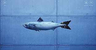 OKAZU - Fish Counting Chill Game -