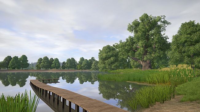 Russian Fishing 4 - Amber Lake