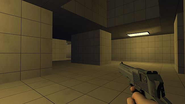 Backrooms in the Forest