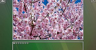 Super Jigsaw Puzzle: Generations - Flowers Puzzles