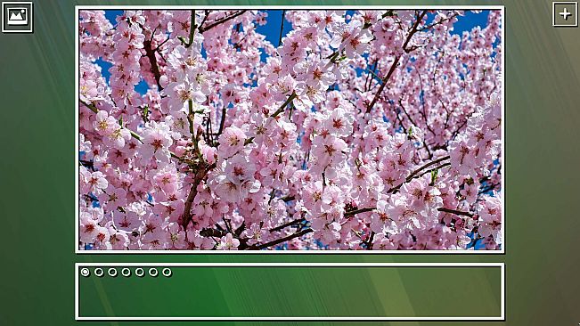 Super Jigsaw Puzzle: Generations - Flowers Puzzles