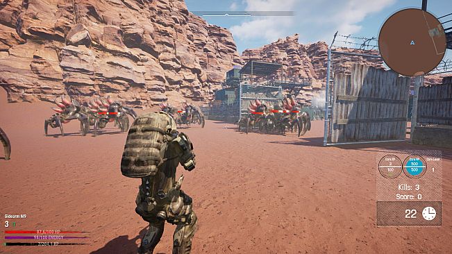 Desert Echo