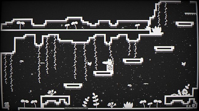 Cats Catching Mice: The Black and White World