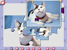 1001 Jigsaw. Cute Cats 4