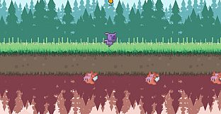 ANIMALITY - Pig Colour Pigments