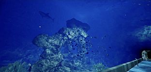 Aquarium at August 32nd VR