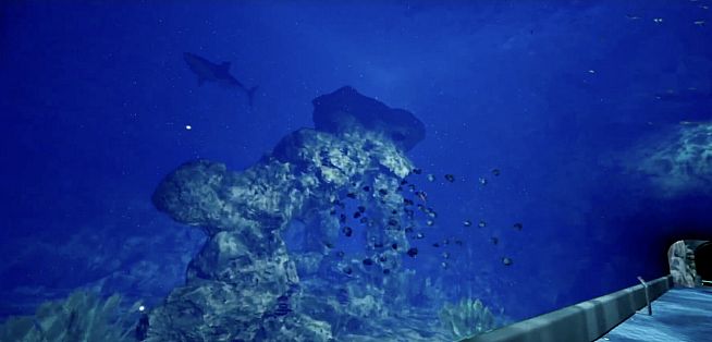 Aquarium at August 32nd VR