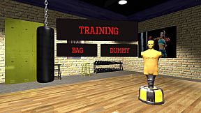 VR Boxing Workout