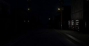 The Way Home at Night