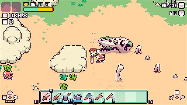 Picontier / ピコンティア