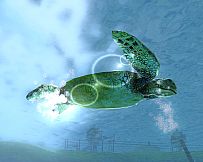 Wildlife Park 2 - Crazy Zoo