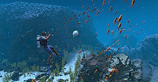 ImmersiX - Sharkarma