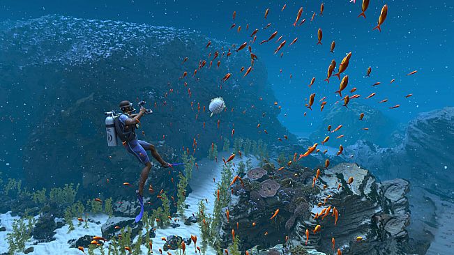 ImmersiX - Sharkarma