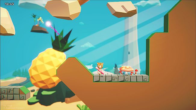 Wildlings: Why is There a Zoo in Bazooka?