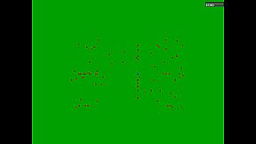 The Ancient Art of Staying Alive