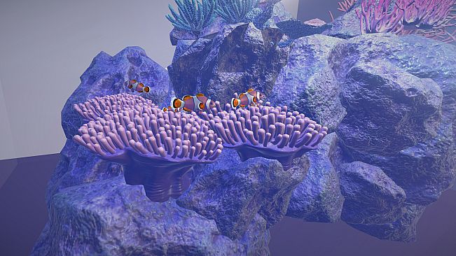 The Fish Room