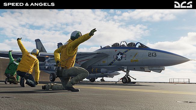 DCS: F-14B Speed and Angels Campaign