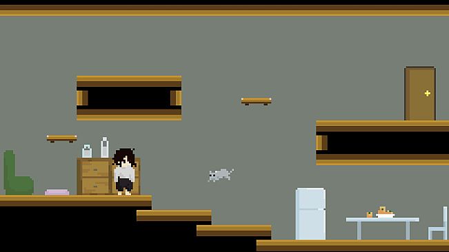 A Good Cat and The Graduate Life