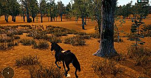 Horse Spirit Valley 2
