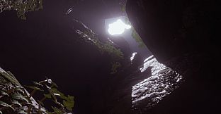 Grave of the Petrified