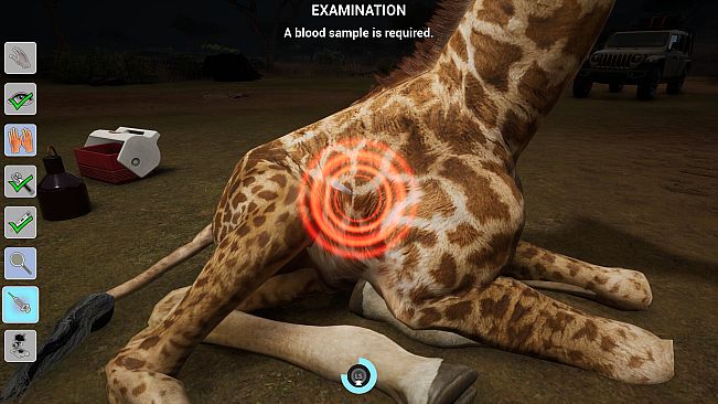 My Life: Safari Vet
