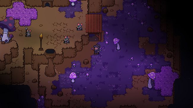 Zoe and the Cursed Dreamer