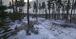 Graviteam Tactics: Black Snow