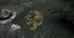 Ranger's Path: National Park Simulator