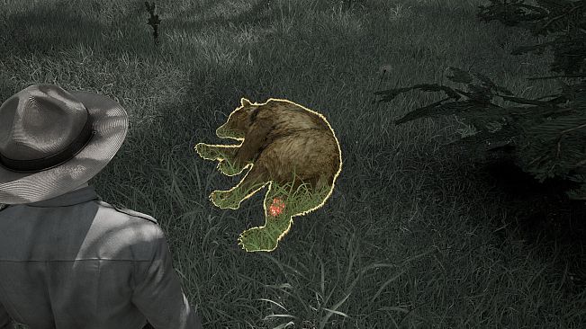 Ranger's Path: National Park Simulator
