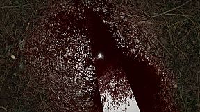 Mr Death: The Violent Silence