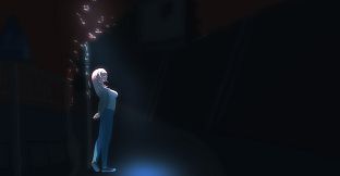 The Brave and Princess of Moonlit Night