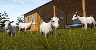 Pure Farming 2018 - Montana Goats