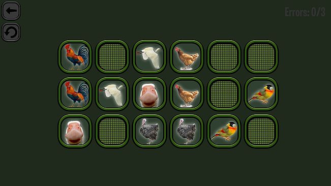 Animals Memory: Birds