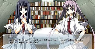 Wonderful Everyday Down the Rabbit-Hole