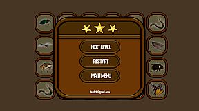 Animals Memory: Insect