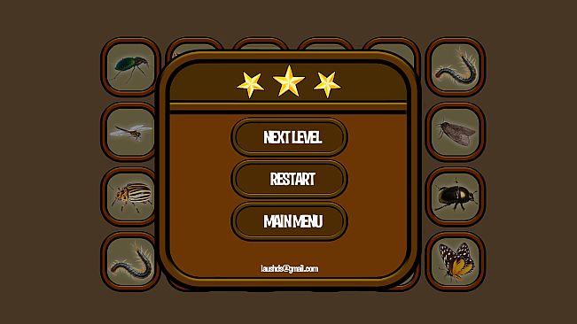 Animals Memory: Insect