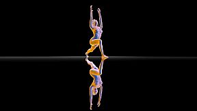 VirtuaLiron - Immersive YOGA practice