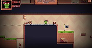 Super Frog Ninja