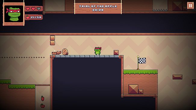 Super Frog Ninja