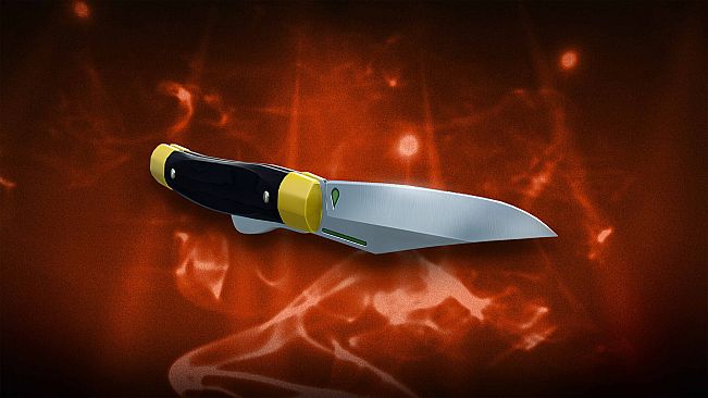 HITMAN WOA - The Wizard Pack
