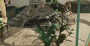 Aquarium Designer - Amazonia