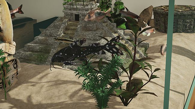 Aquarium Designer - Amazonia